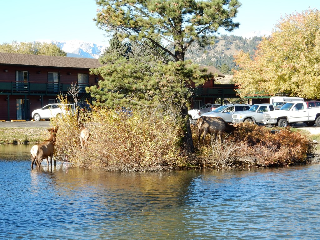 slideshow image